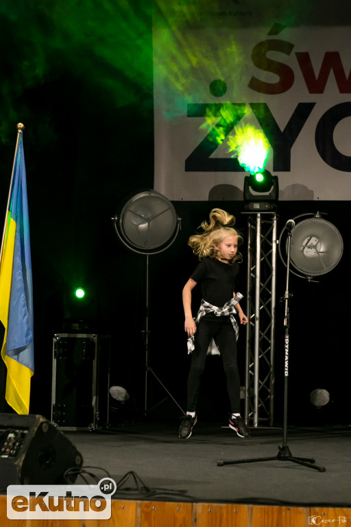Święto Żychlina już na nami