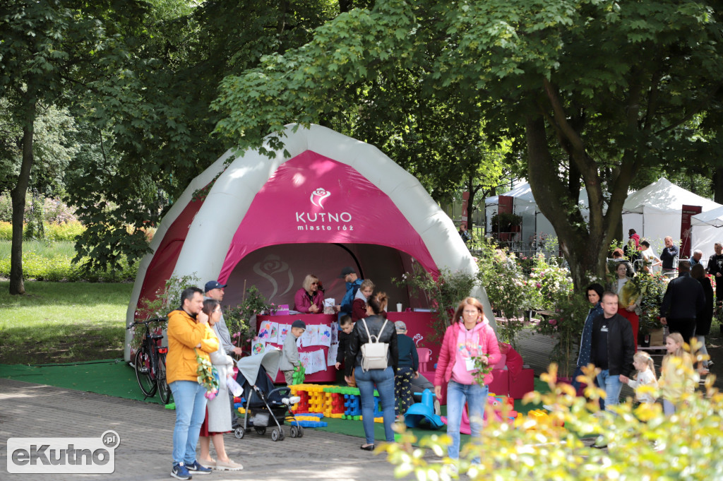 Piknik wśród róż