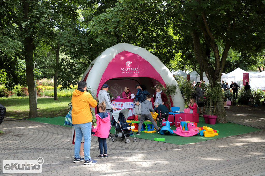 Piknik wśród róż