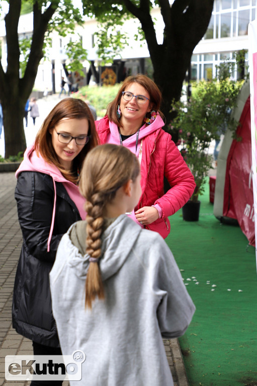 Piknik wśród róż