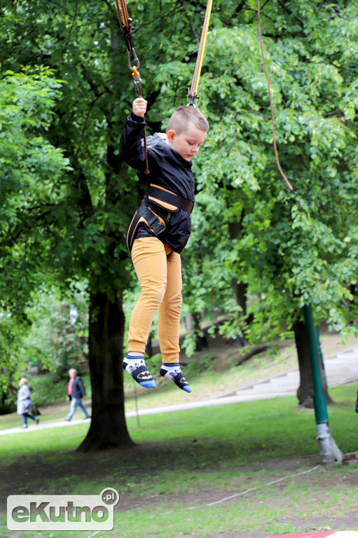 Piknik wśród róż
