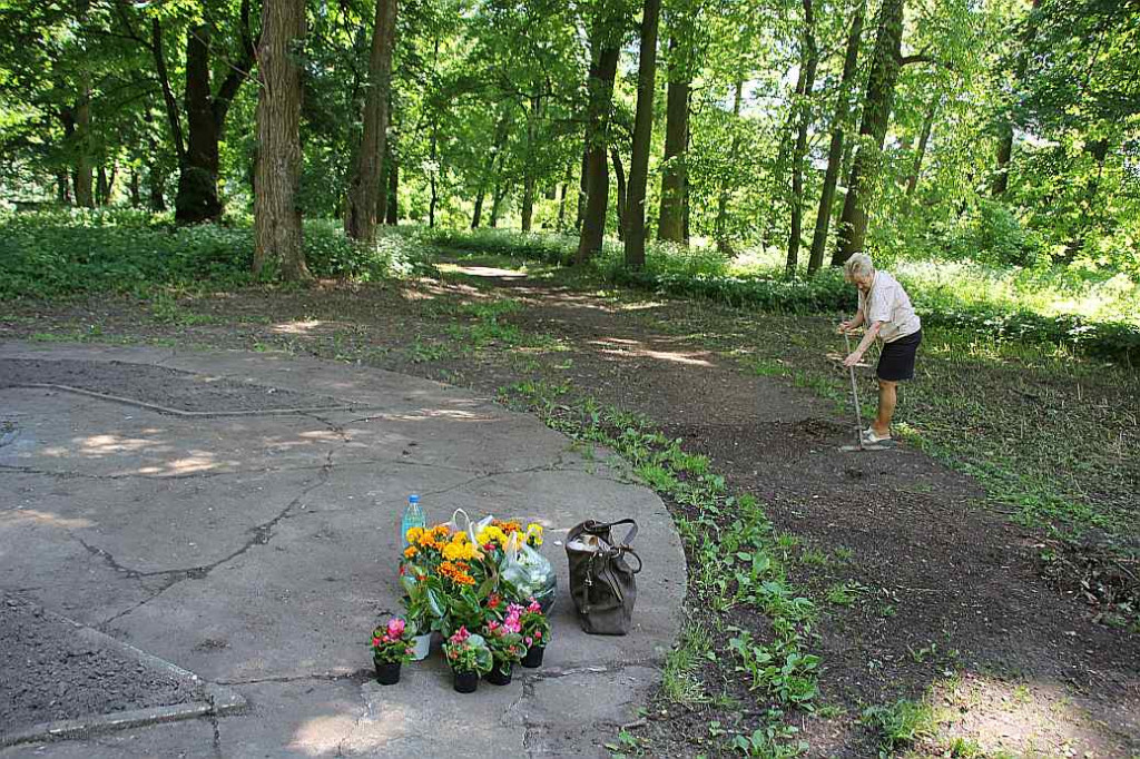 Atrakcje Krośniewic