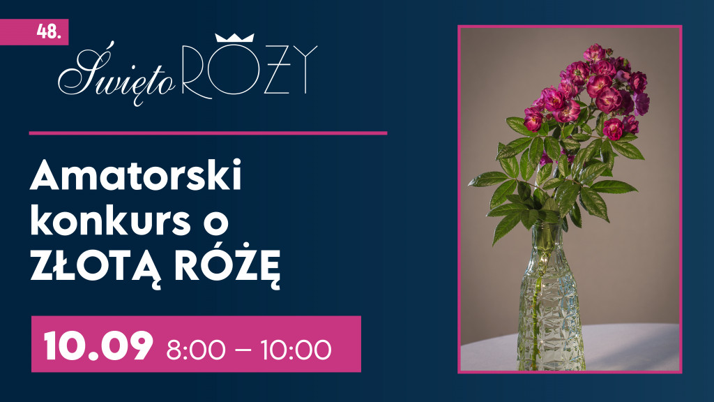 48. Święto Róży