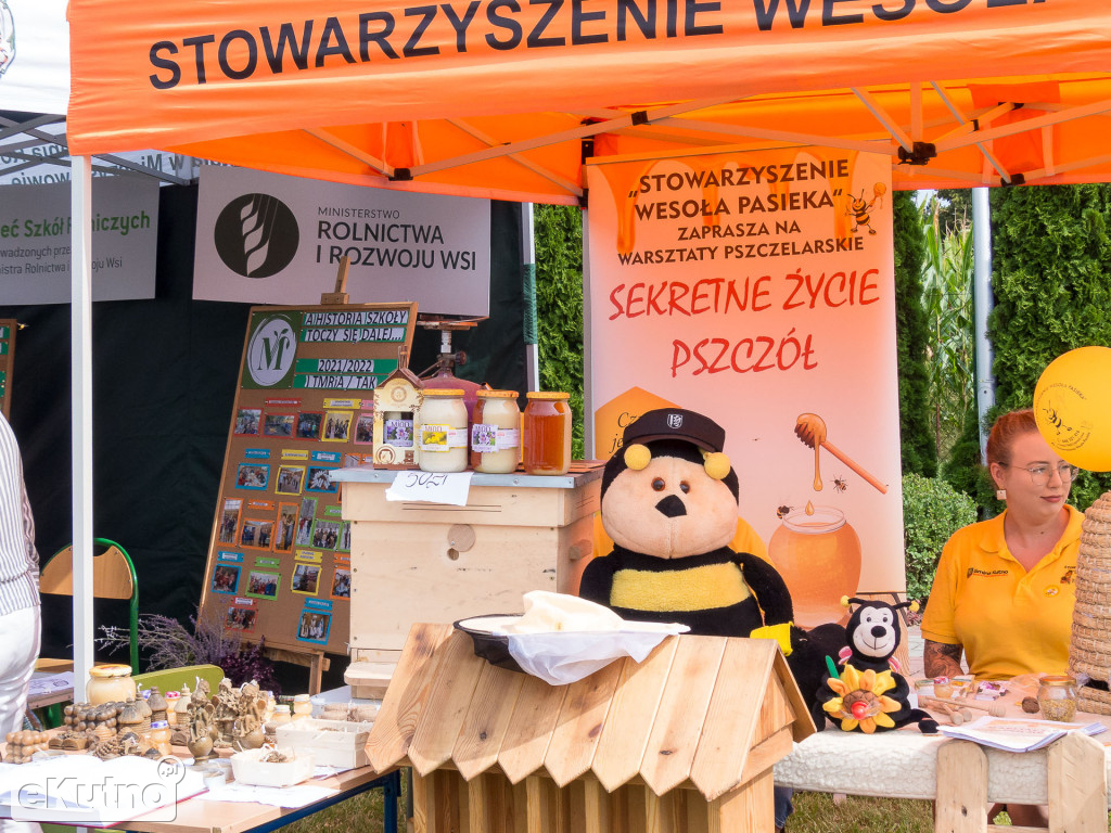 Powiatowo-Gminne Dożynki