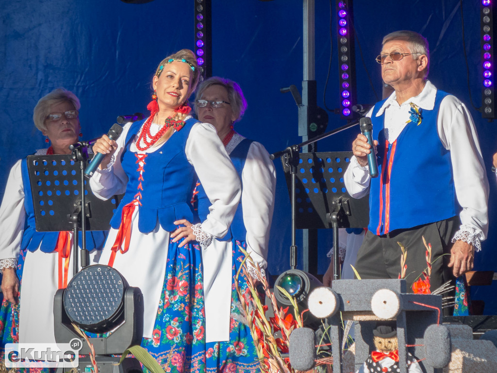 Dożynki w Dąbrowicach