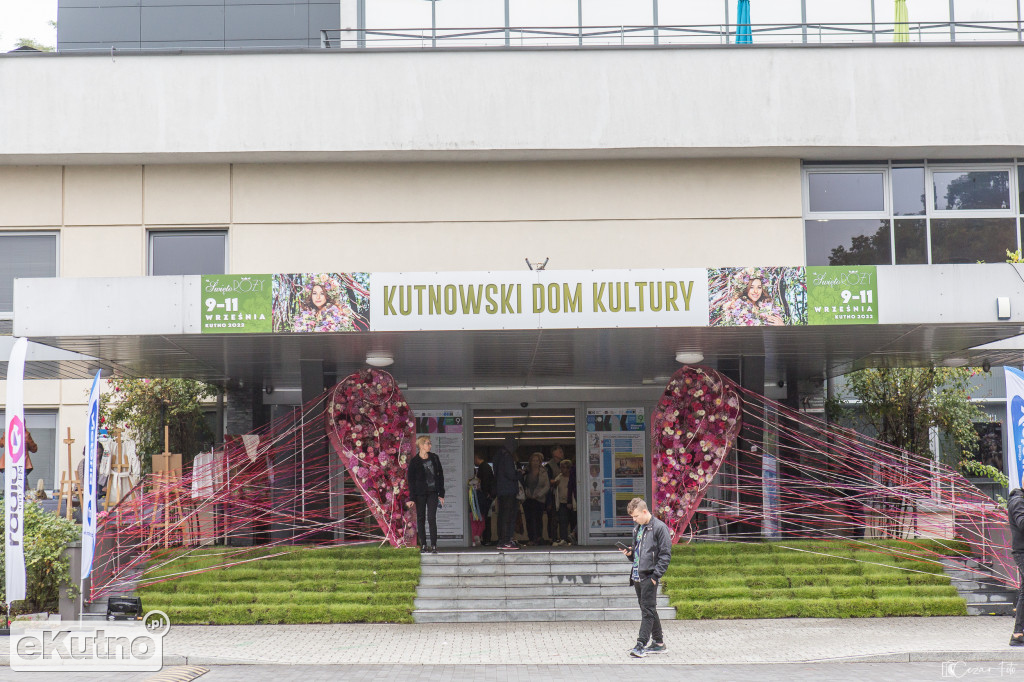 Królowa Róż wśród różanych aranżacji