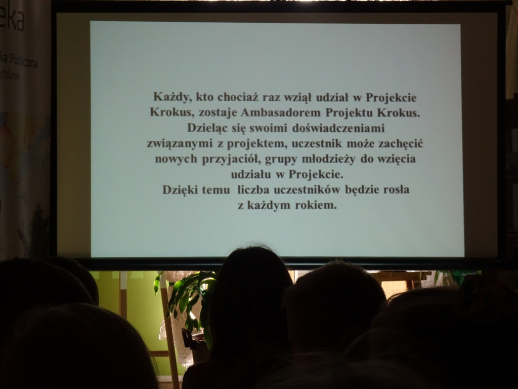 Sadzimy krokusy