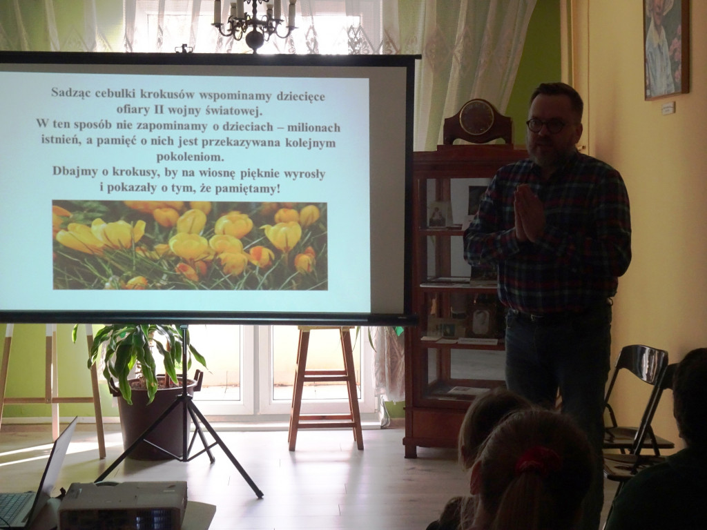Sadzimy krokusy