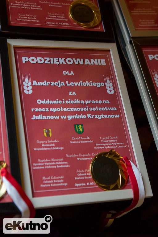 Dzień Sołtysa