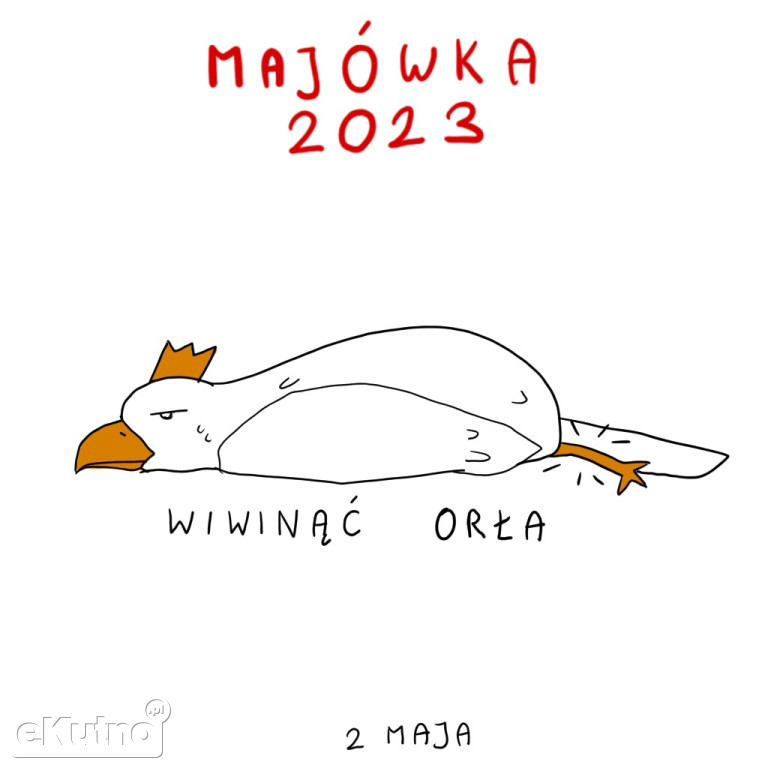 Praktyki w eKutno.pl