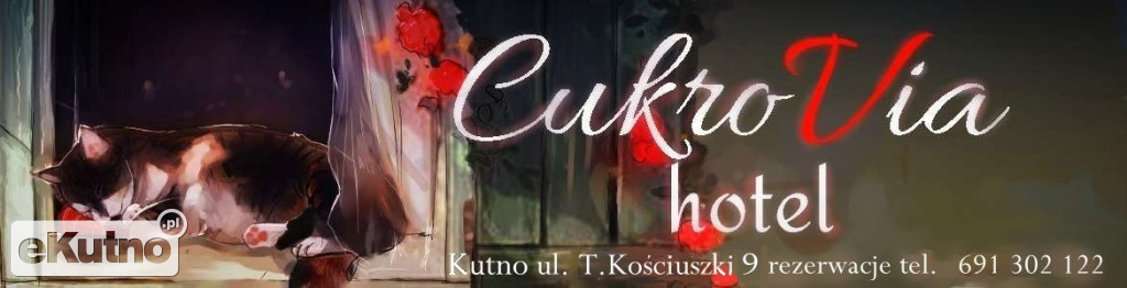 Praktyki w eKutno.pl