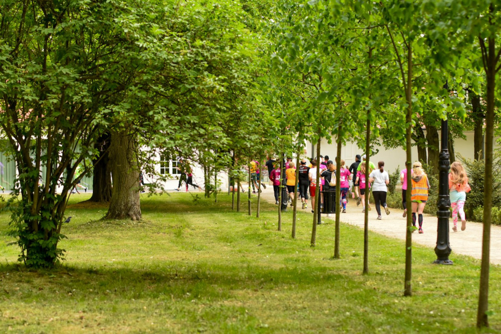 6. urodziny parkrun