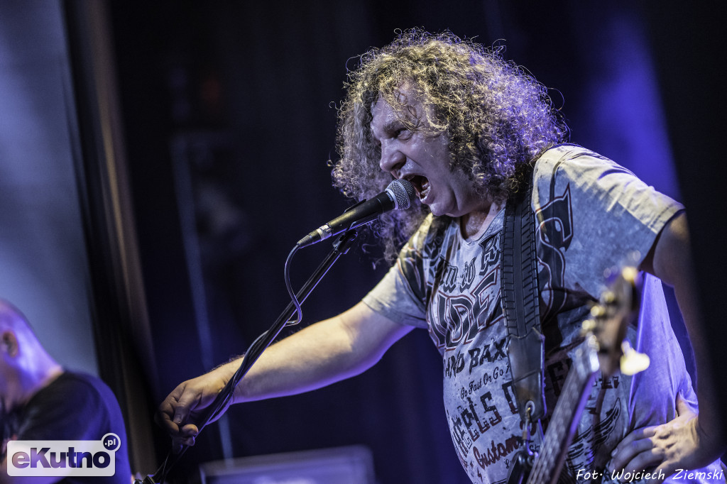 Koncert PROLETARYATU