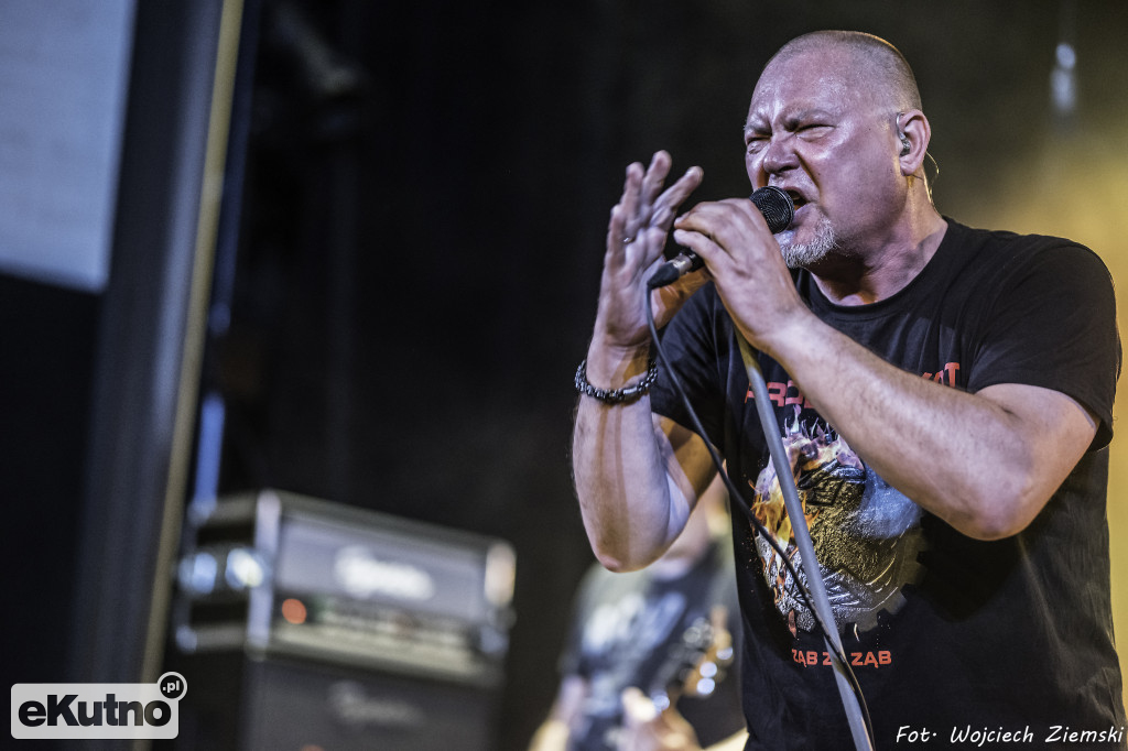 Koncert PROLETARYATU