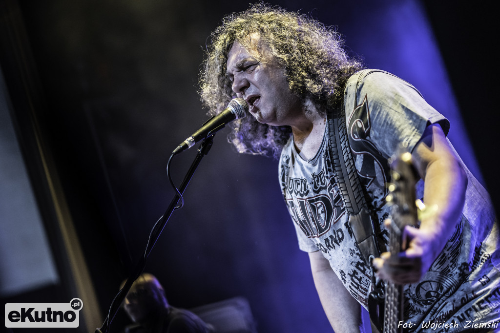 Koncert PROLETARYATU
