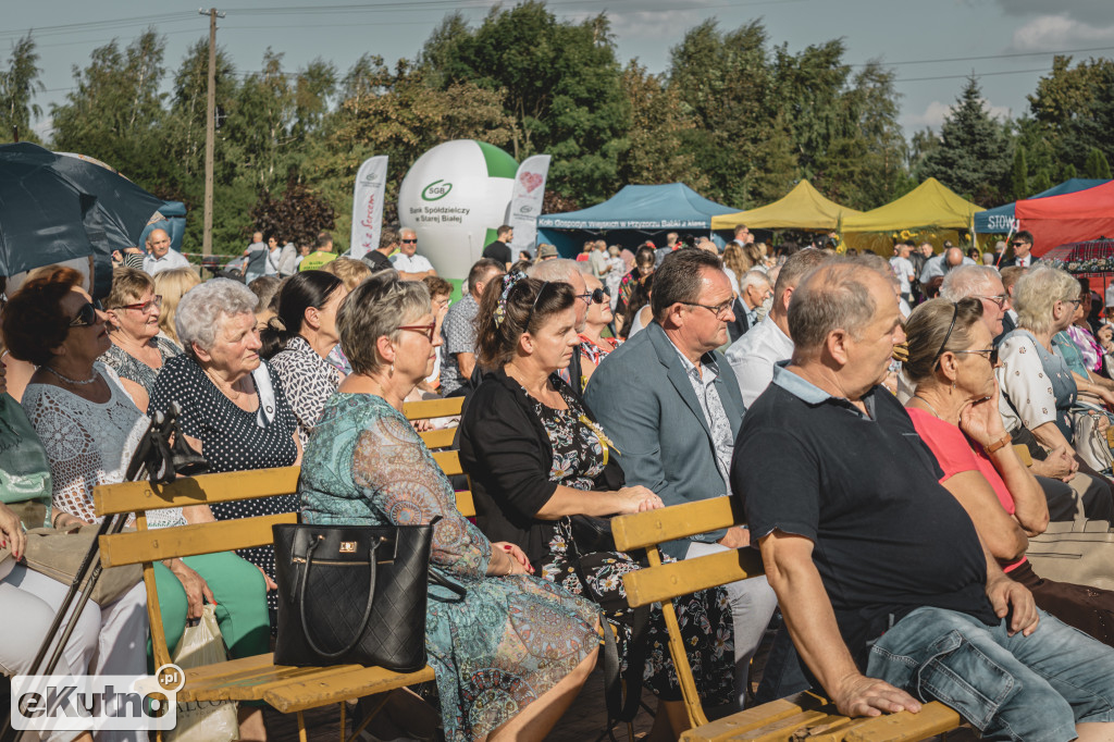 Dożynki w Gminie Strzelce