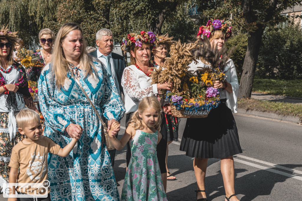 Dożynki w Żychlinie