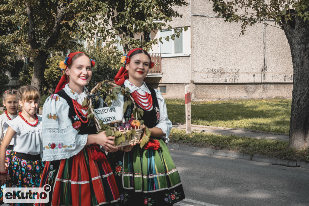 Dożynki w Żychlinie