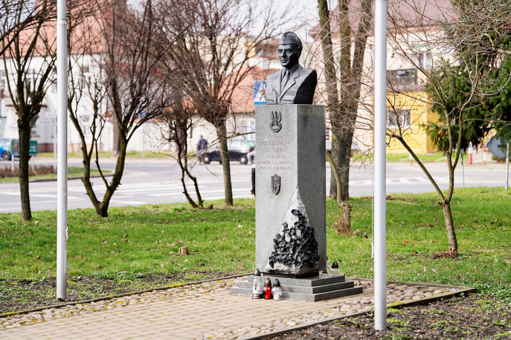 Marszałek w Krośniewicach i Dąbrowicach