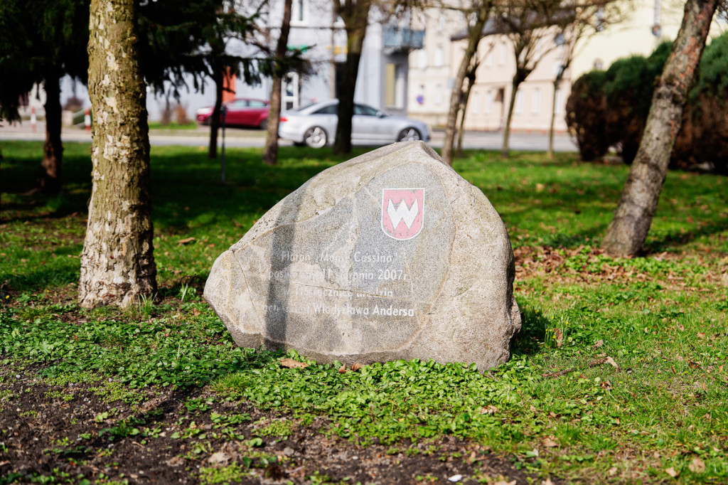 Marszałek w Krośniewicach i Dąbrowicach