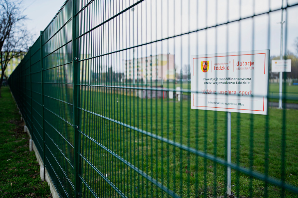 Marszałek w Krośniewicach i Dąbrowicach