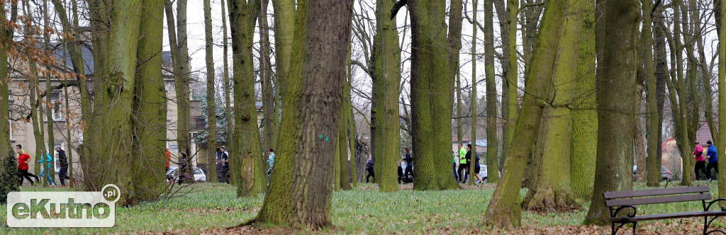 300 PARKRUN już za nami