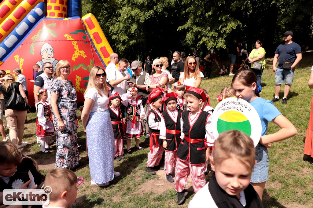 Piknik Organizacji Pozarządowych