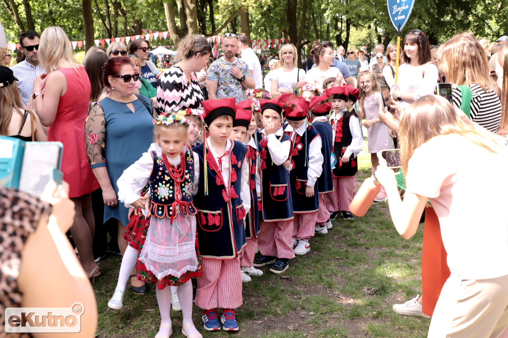 Piknik Organizacji Pozarządowych