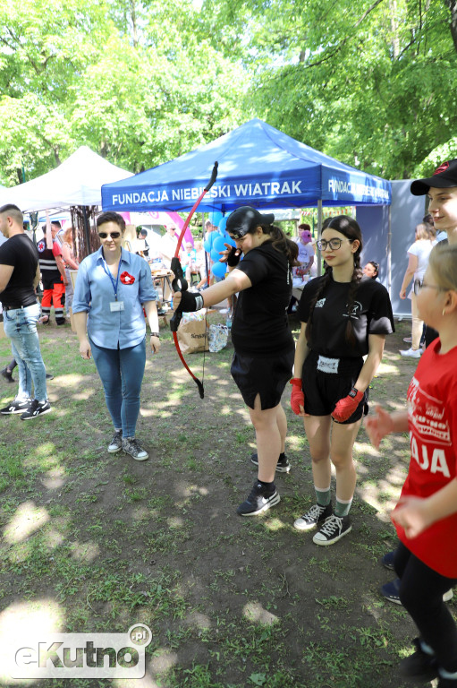 Piknik Organizacji Pozarządowych