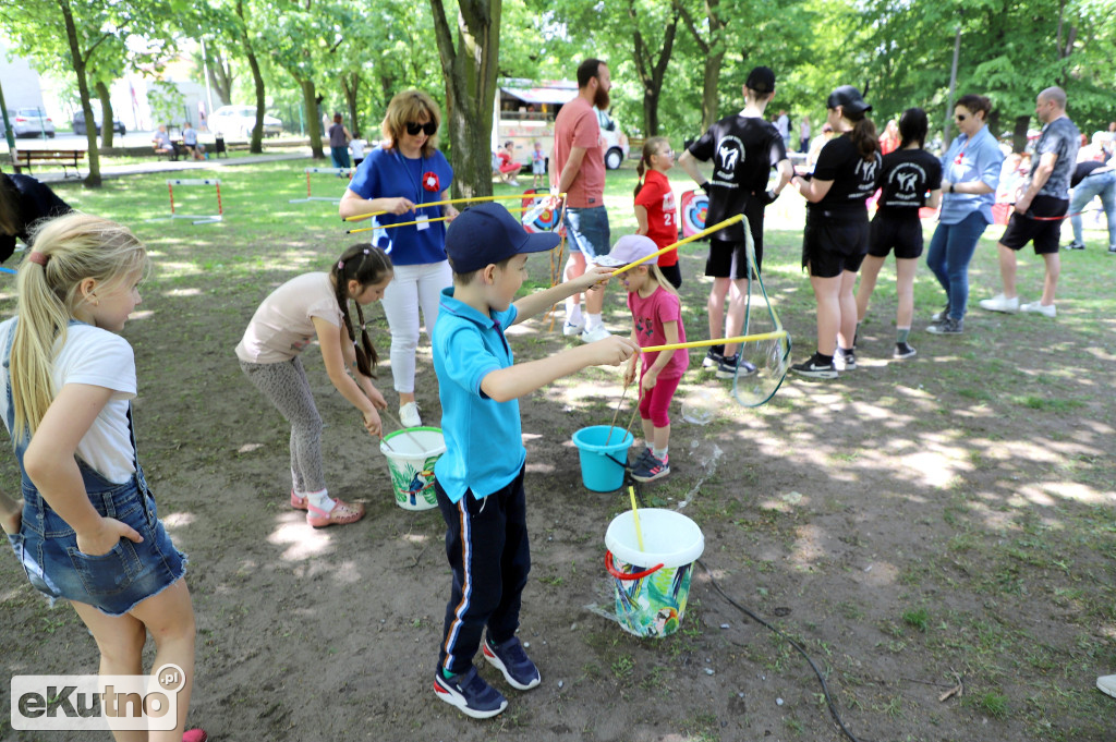 Piknik Organizacji Pozarządowych