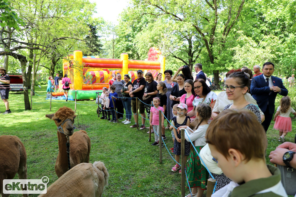 Piknik Organizacji Pozarządowych