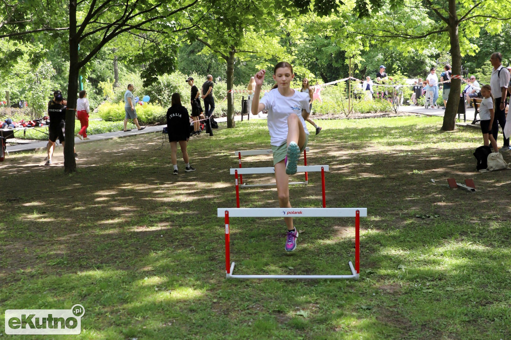 Piknik Organizacji Pozarządowych