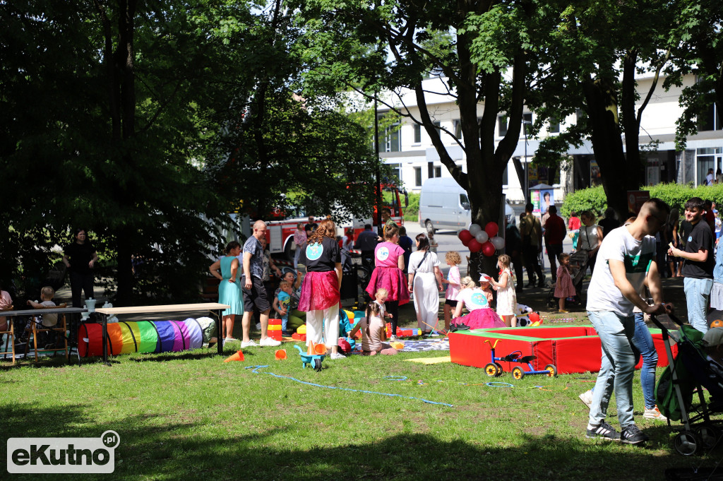 Piknik Organizacji Pozarządowych