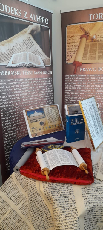 Działania SUTW