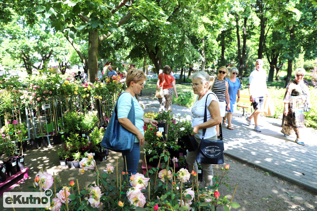 Piknik wśród Róż wystartował...