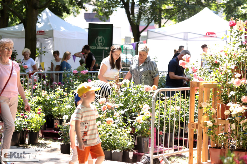 Piknik Wśród Róż dzień 2