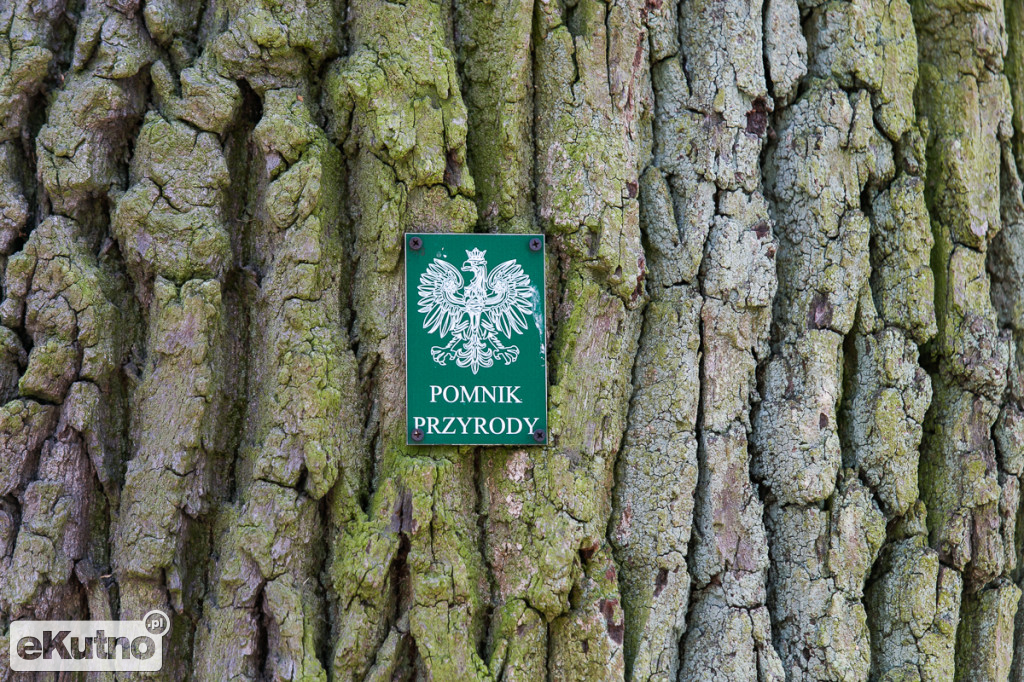 Z przyrodą za pan brat