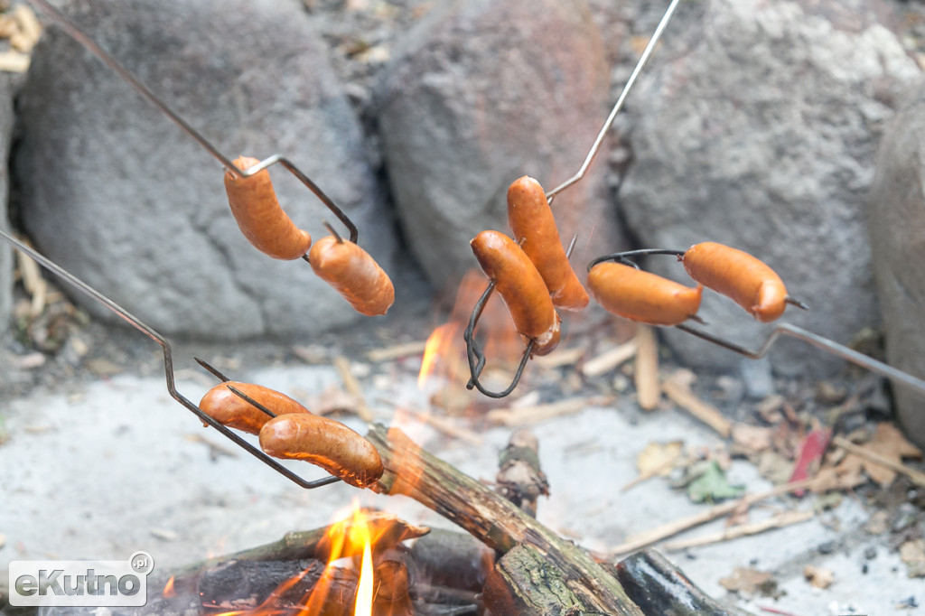 Z przyrodą za pan brat