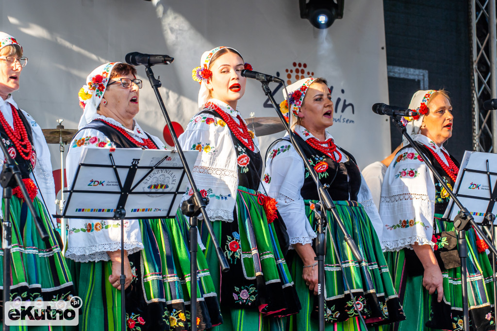 Dni Żychlina