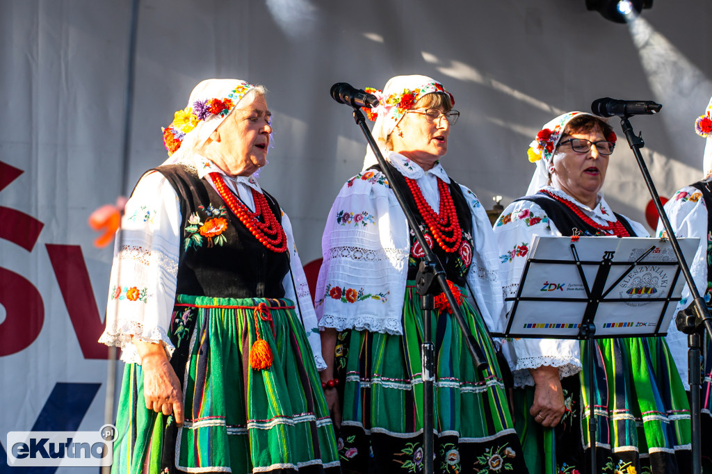 Dni Żychlina