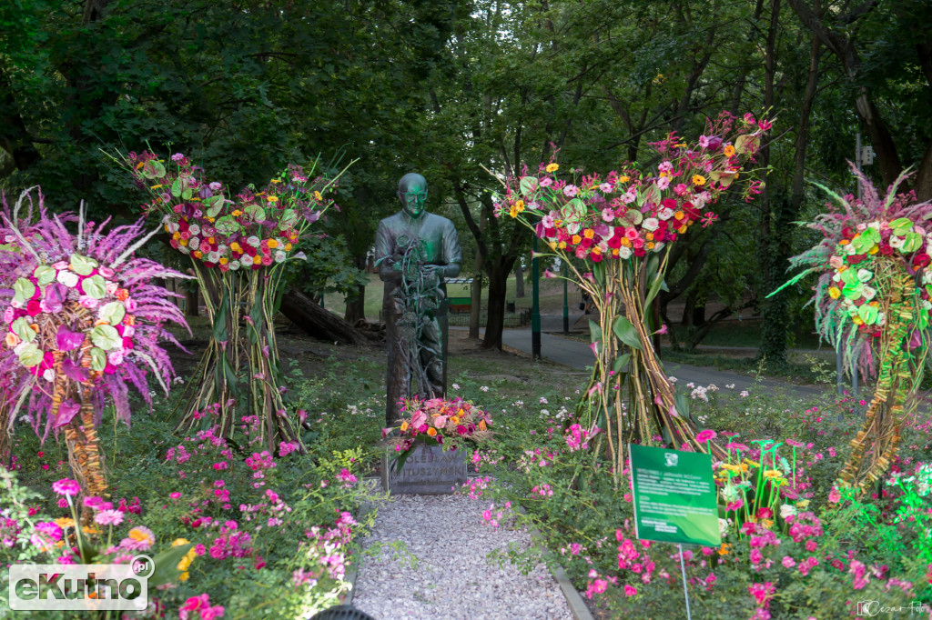 Wystawa róż w ramach 50. Święta Róży