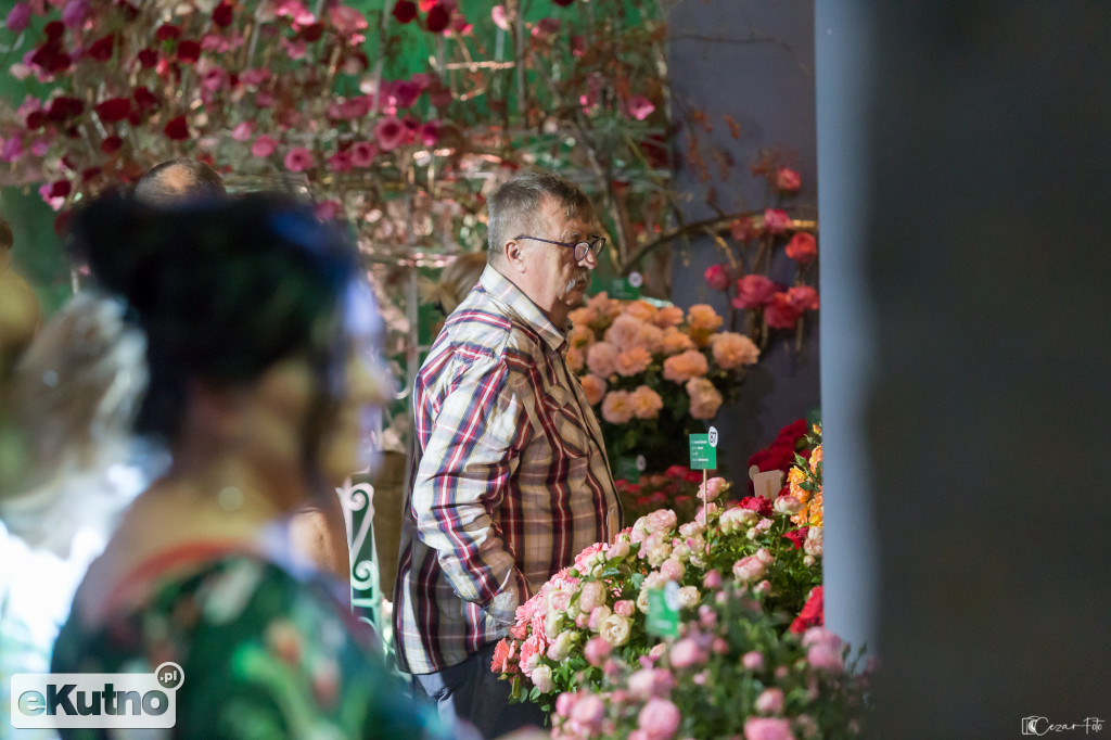 Wystawa róż w ramach 50. Święta Róży