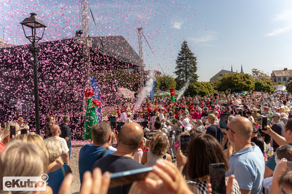 50 lat wystaw róż i coś jeszcze