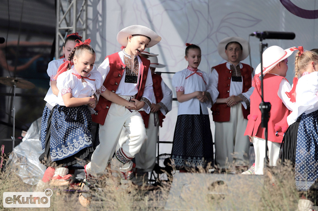 Święto Róży już za nami