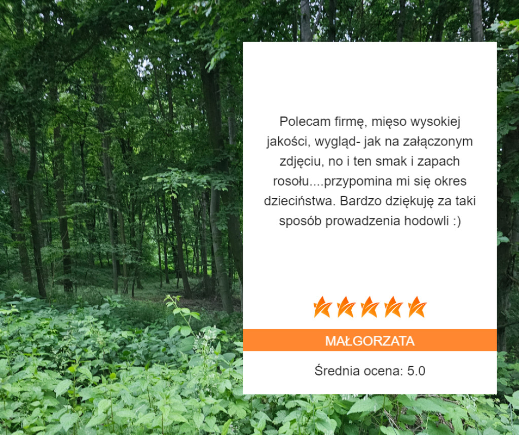 Dobre samopoczucie zaczyna się na talerzu