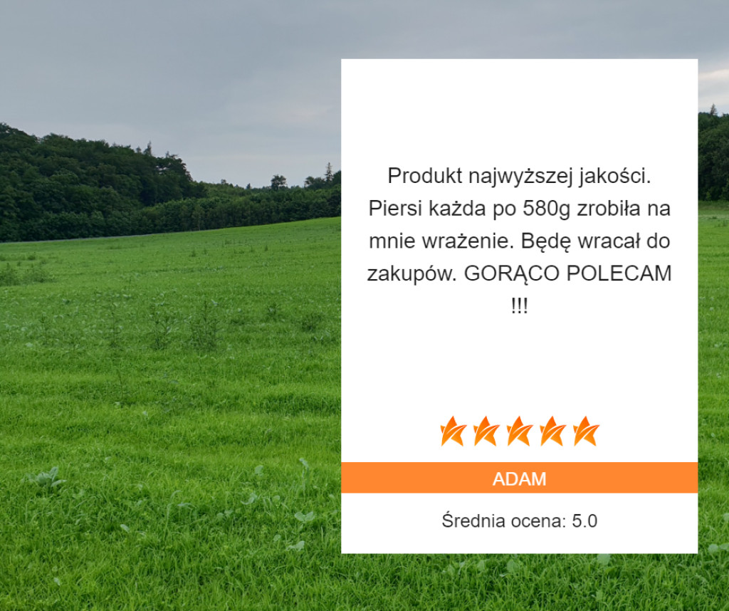 Dobre samopoczucie zaczyna się na talerzu