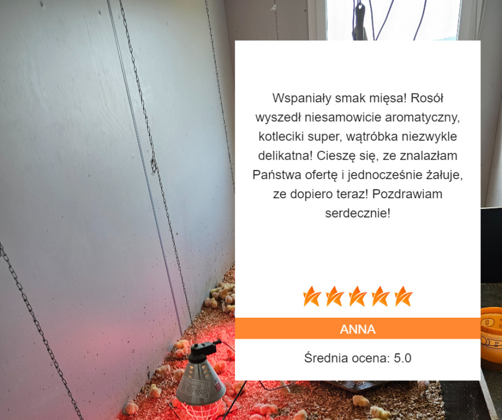 Dobre samopoczucie zaczyna się na talerzu