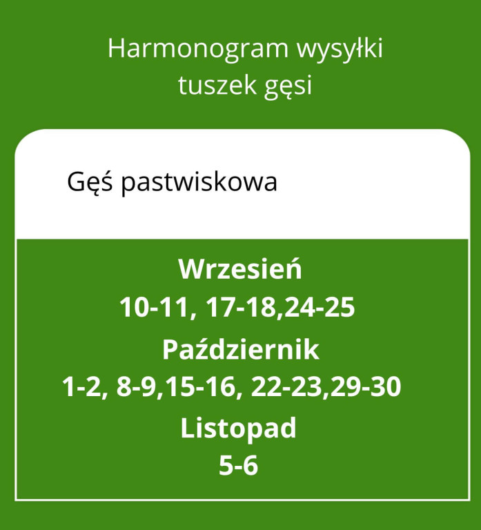 Dobre samopoczucie zaczyna się na talerzu