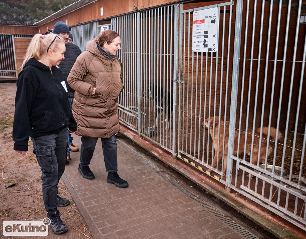 Karma, obroże, smycze, akcesoria i zabawki dla psów i kotów