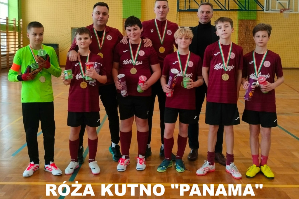 Róża Kutno Panama w szczycie formy